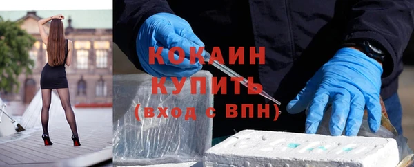 ешки Бронницы