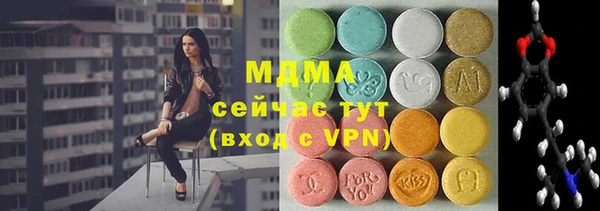 сатива Бородино