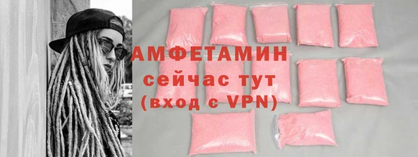 сатива Бородино