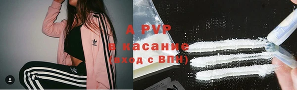 каннабис Богданович