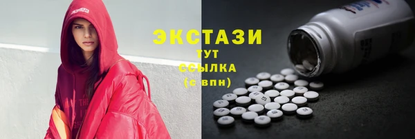 сатива Бородино
