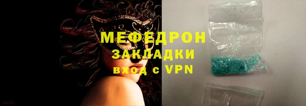 сатива Бородино