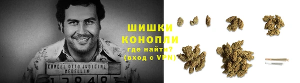 ешки Бронницы