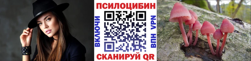 Купить закладки  Карачаевск  Галлюциногенные грибы ЛСД 
